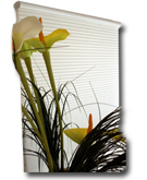 DISCOUNT BLINDS, DISCOUNT SHADES | STARDECORATING.COM